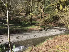 Forterras Wood Creek Future Land Use Scenarios Document in HTML