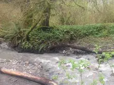 Save Wood Creek Zoom Meeting, September 3rd @ 7:00 PM