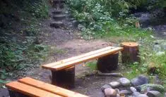 Reminder: Public Save Wood Creek meeting tonight at 6:30 PM