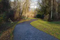 City of Everett Park Survey