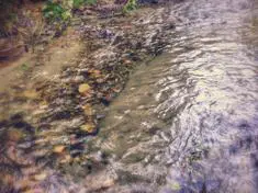 Save Wood Creek Committee Meeting, August 6th, 2020 @ 6:30 PM PST